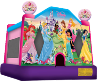Disney Princess Faries Jumper